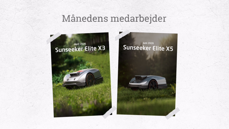 Månedens medarbejder--image